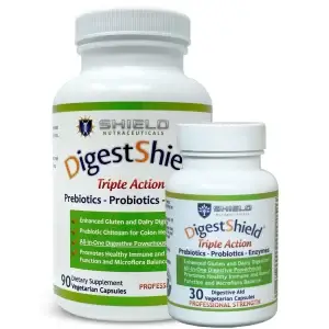 Best Supplements for Gut Health and Weight Management