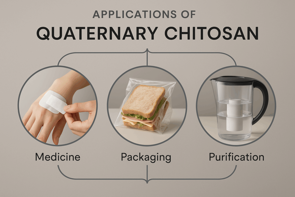 applications of Q-chitosan in medicine, packaging, and purification