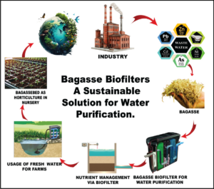 Sustainability & Environmental Impact