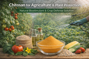 Chitosan for Agriculture and Plant Protection Systems