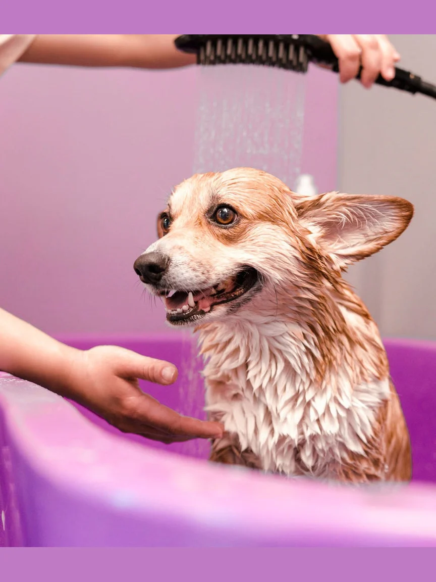 16 oz Foaming Skin Cleanser (Bottle Only) - Image 3