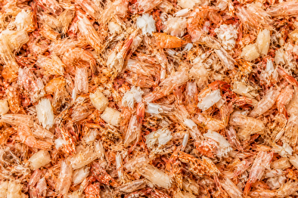 Crushed seafood shells and fragments
