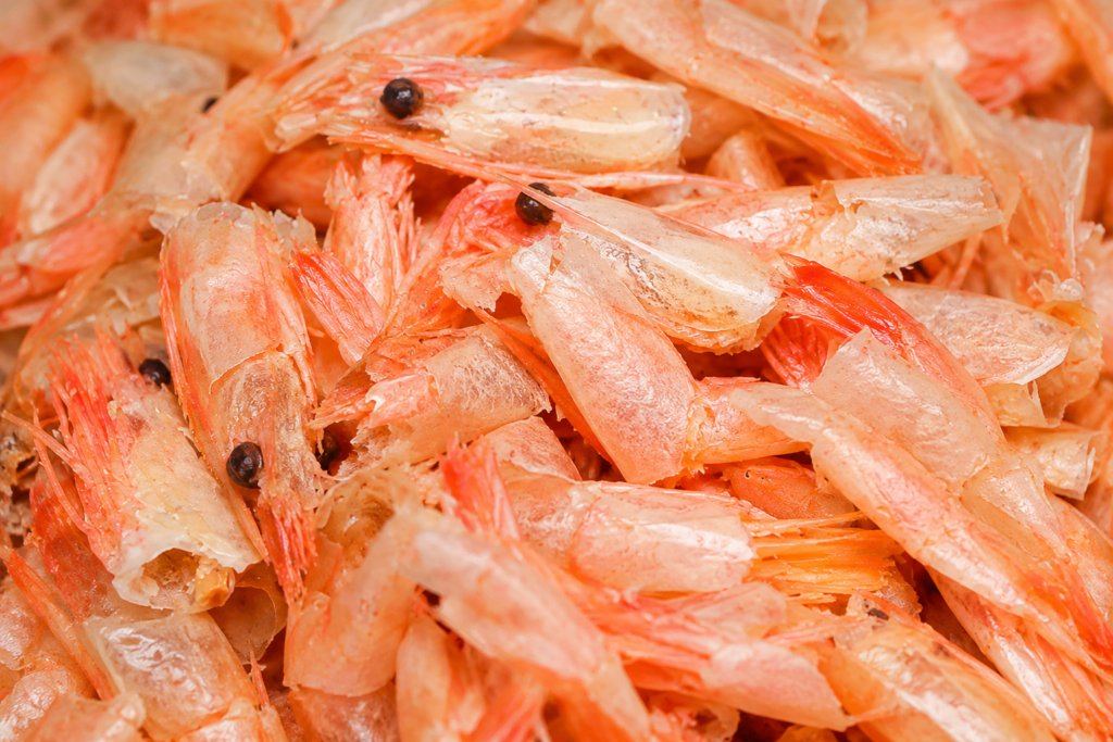 Pile of shrimp shells and fragments