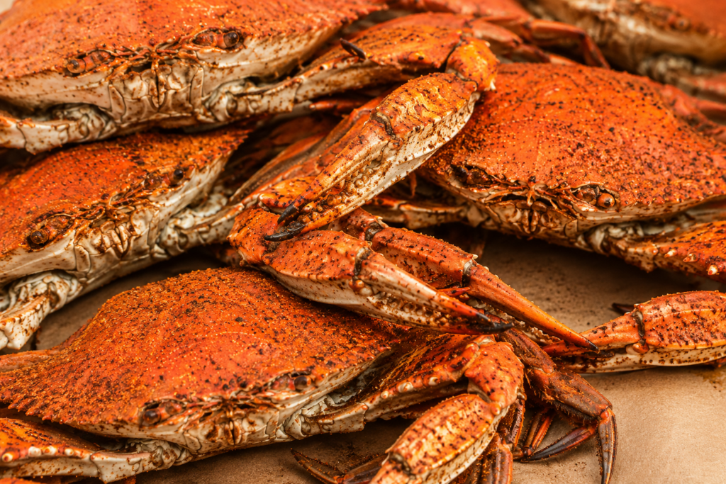 shellfish