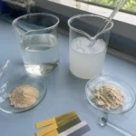 Carboxymethyl Chitosan vs Native Chitosan
