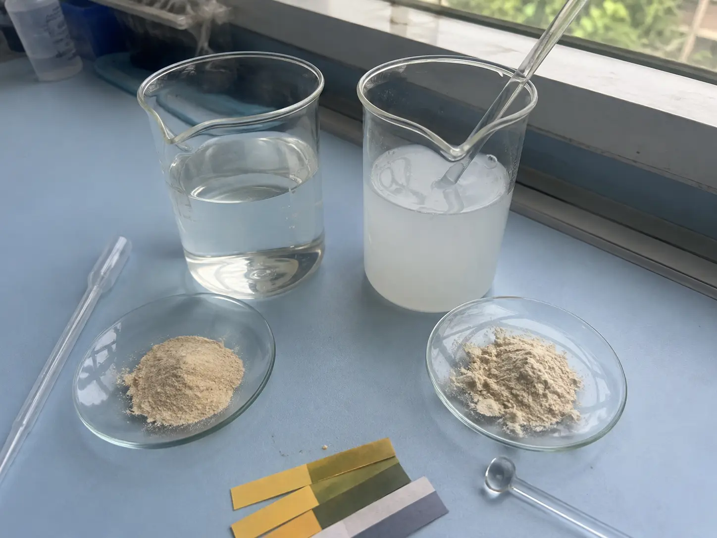 Carboxymethyl Chitosan vs Native Chitosan: When Is Modification Actually Worth It?