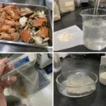 Benefits of Shellfish Carboxymethyl Chitosan