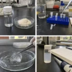 Shellfish CMCS for Drug Delivery