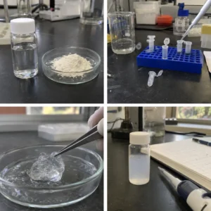 Shellfish CMCS for Drug Delivery