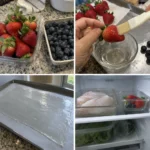 Shellfish CMCS for Food Preservation