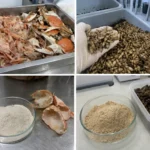 Shellfish CMCS vs BSF CMCS