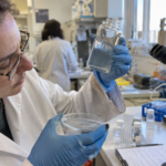 Where Microplastics Actually Go